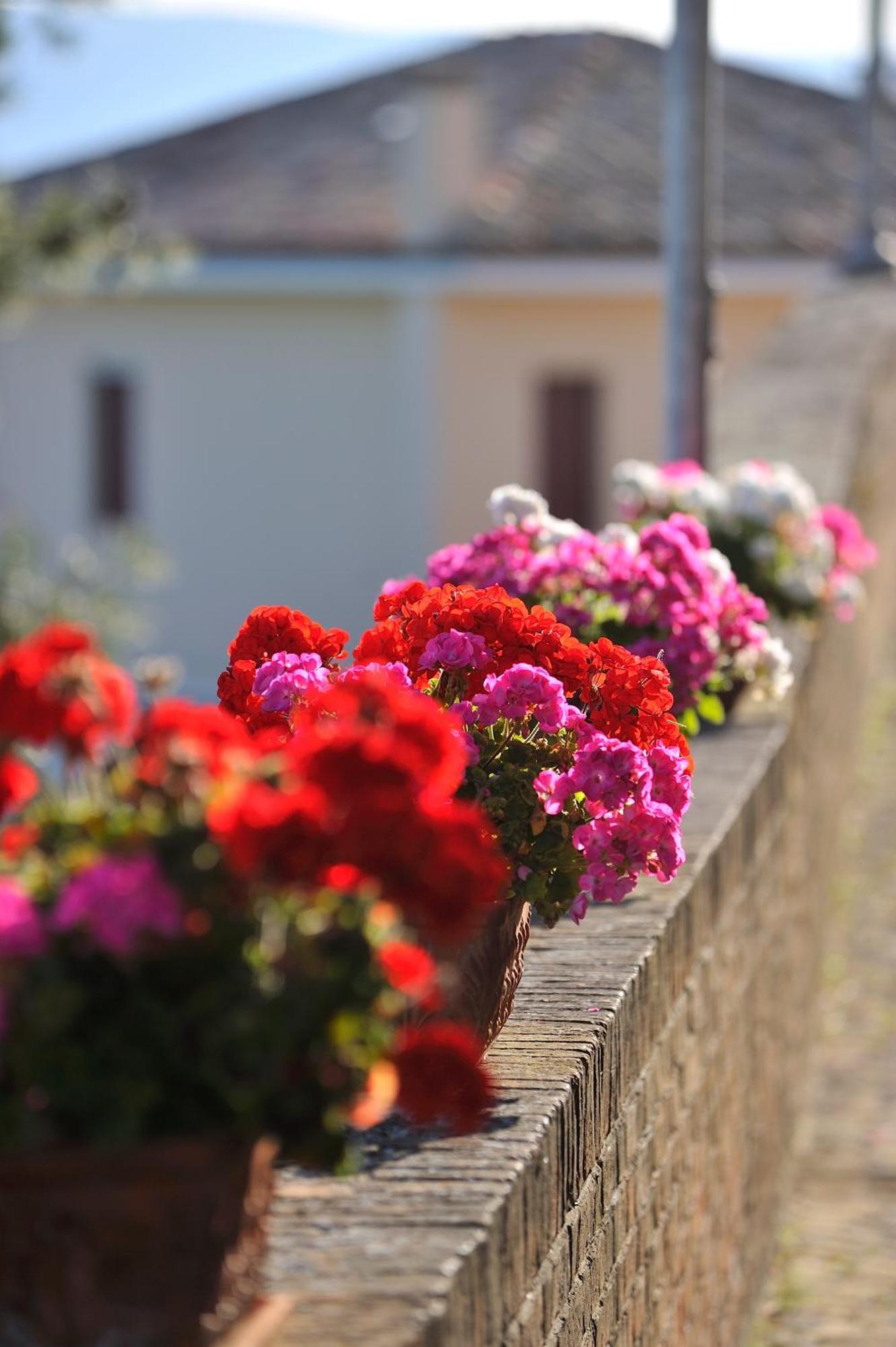 Albergo Diffuso Borgo Montemaggiore 몬테마기오레알메타우로 외부 사진